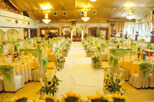 森棵婚慶 為您打造獨(dú)一無二的浪漫婚禮體驗(yàn)