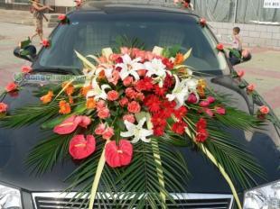 帝9婚慶 一站式洛陽個(gè)性婚慶服務(wù)專家