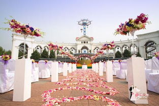 嘉美盛世 以光影定格永恒，專業(yè)主題婚禮策劃中的視覺藝術(shù)